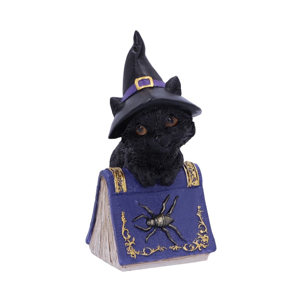 NEMESIS NOW POCUS 12,7CM figura 801269139391