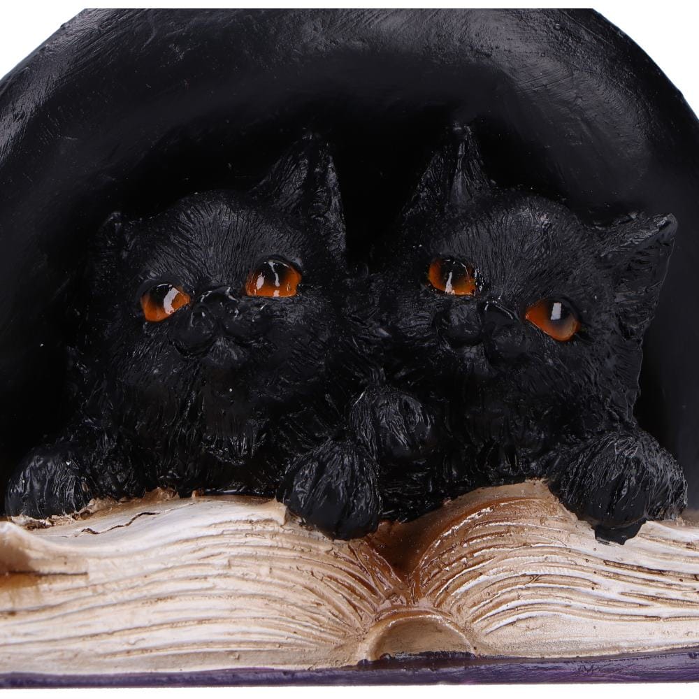 NEMESIS NOW POTION PAIR figura 10.5CM 801269157425