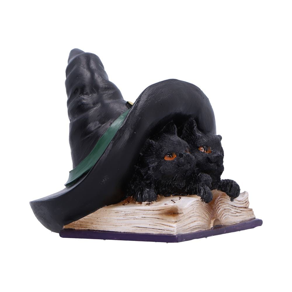 NEMESIS NOW POTION PAIR figura 10.5CM 801269157425