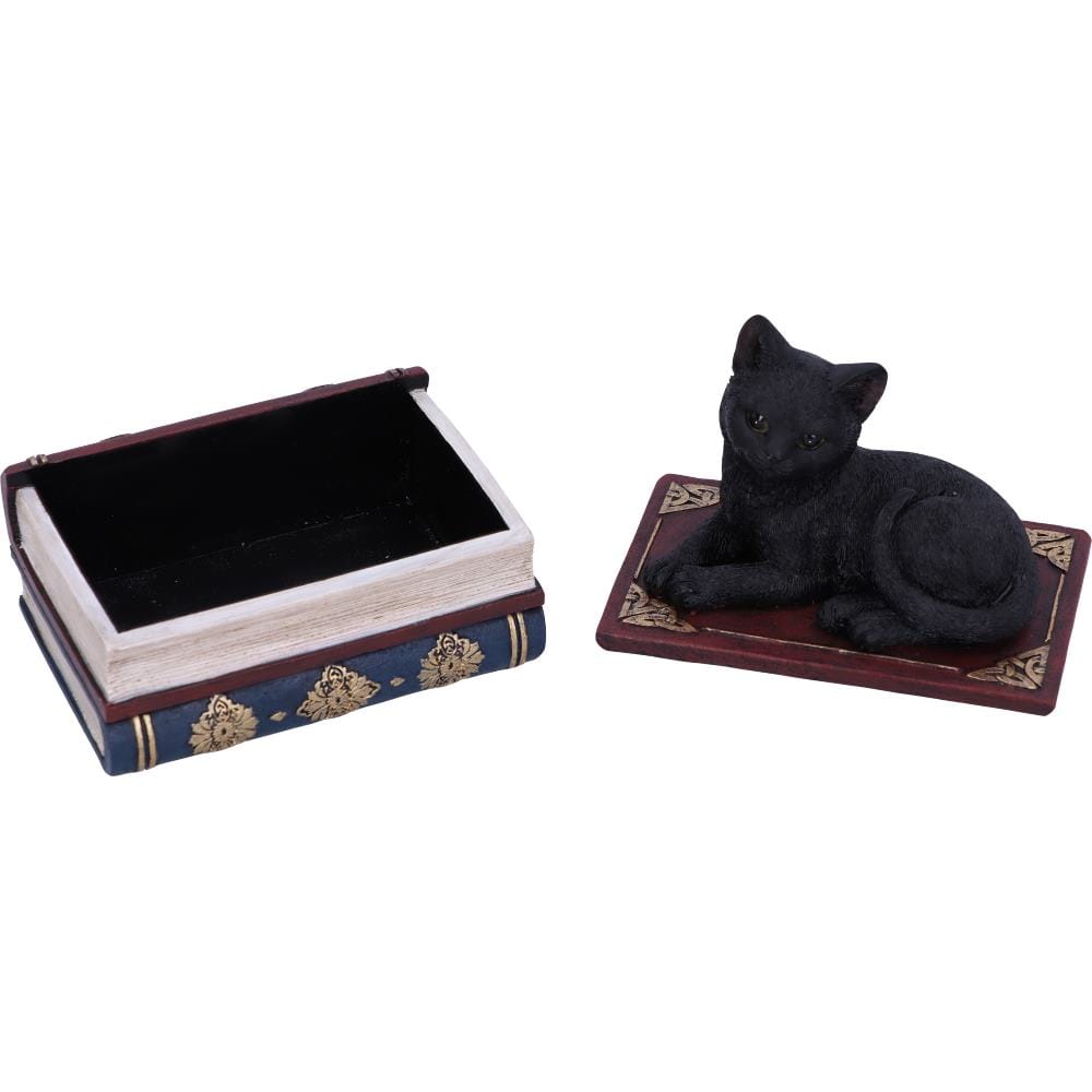 NEMESIS NOW SALEMS SPELLS 11,7CM figura 801269141943