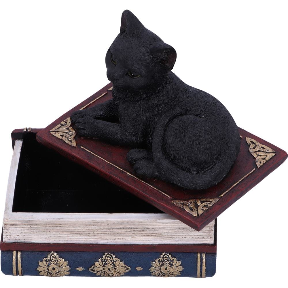 NEMESIS NOW SALEMS SPELLS 11,7CM figura 801269141943