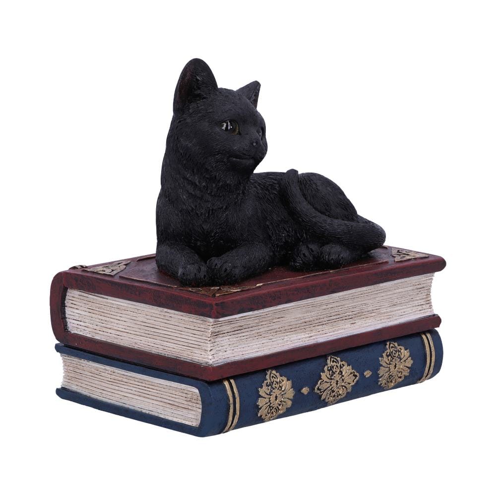 NEMESIS NOW SALEMS SPELLS 11,7CM figura 801269141943