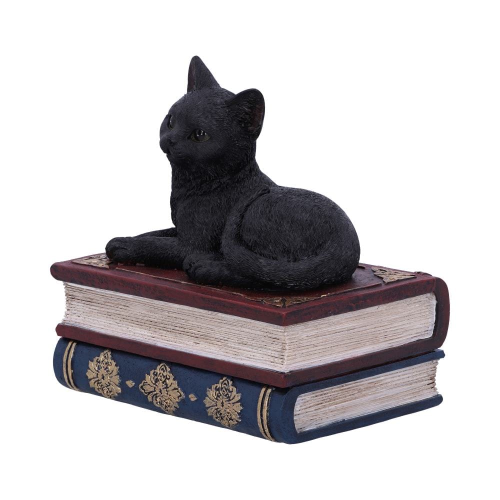 NEMESIS NOW SALEMS SPELLS 11,7CM figura 801269141943