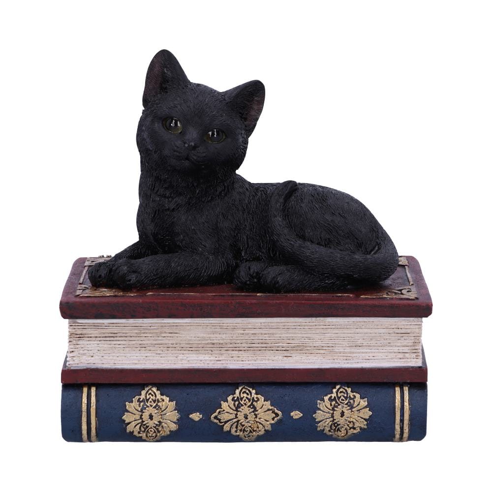 NEMESIS NOW SALEMS SPELLS 11,7CM figura 801269141943