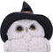 NEMESIS NOW SNOWY SPELLS 9CM 801269144784