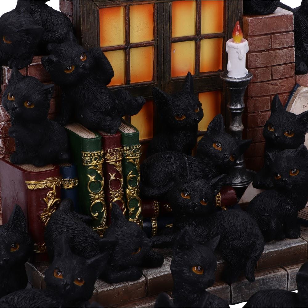 NEMESIS NOW THE WITCHES LITTER ASSORTED figurica 8012699990021