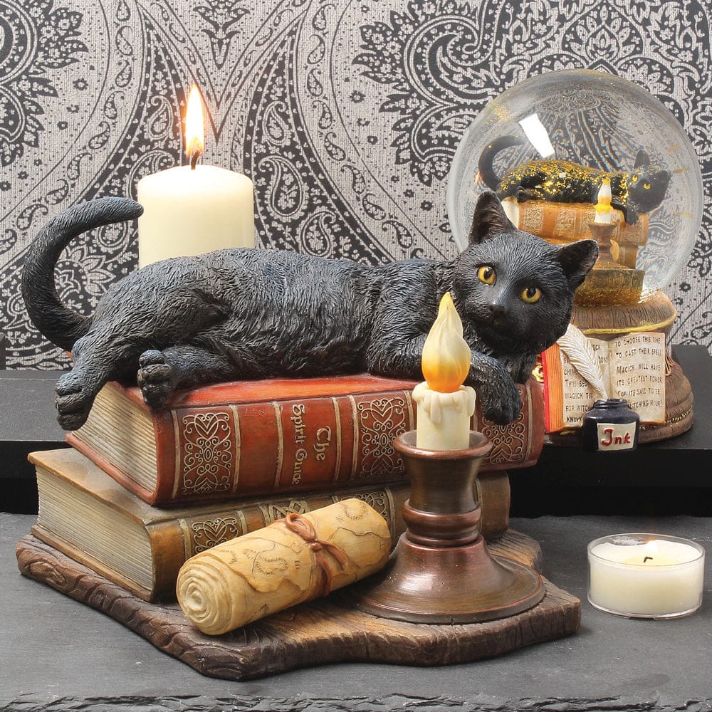 NEMESIS NOW THE WITCHING HOUR (LP) 20,5CM figura 801269114428