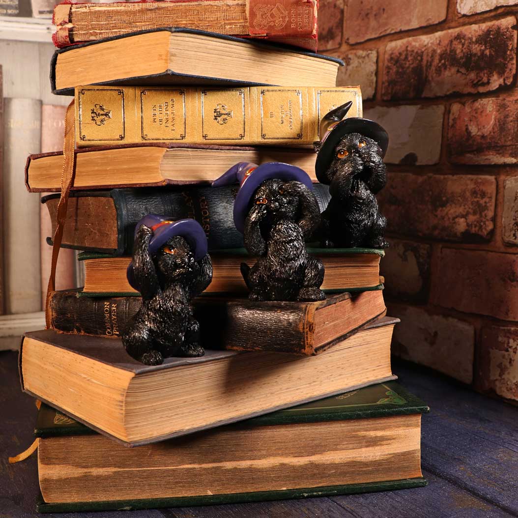 NEMESIS NOW THREE WISE FAMILIARS 9,2CM 801269142254