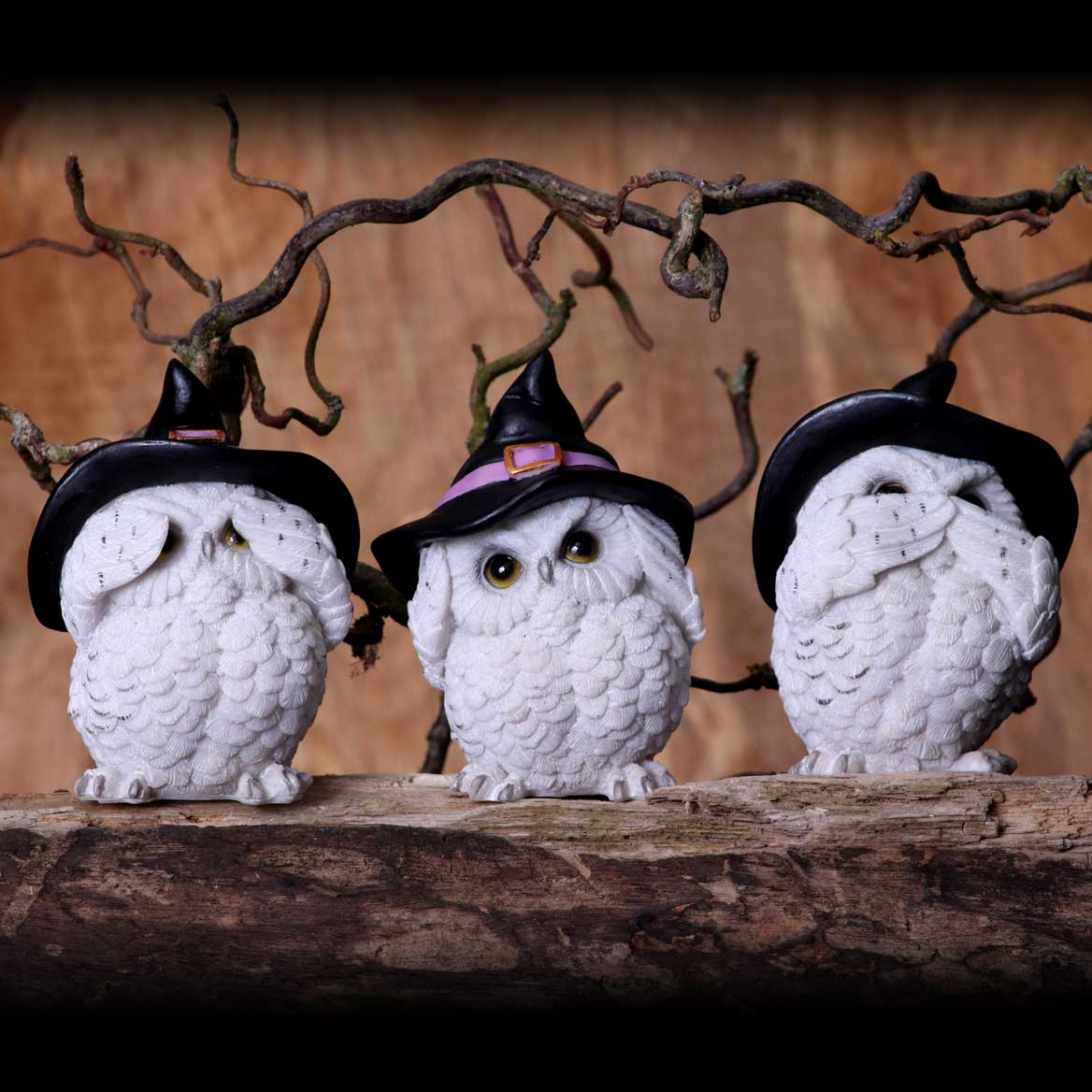 NEMESIS NOW THREE WISE FEATHERED FAMILIARS 9CM set figuric 801269144722