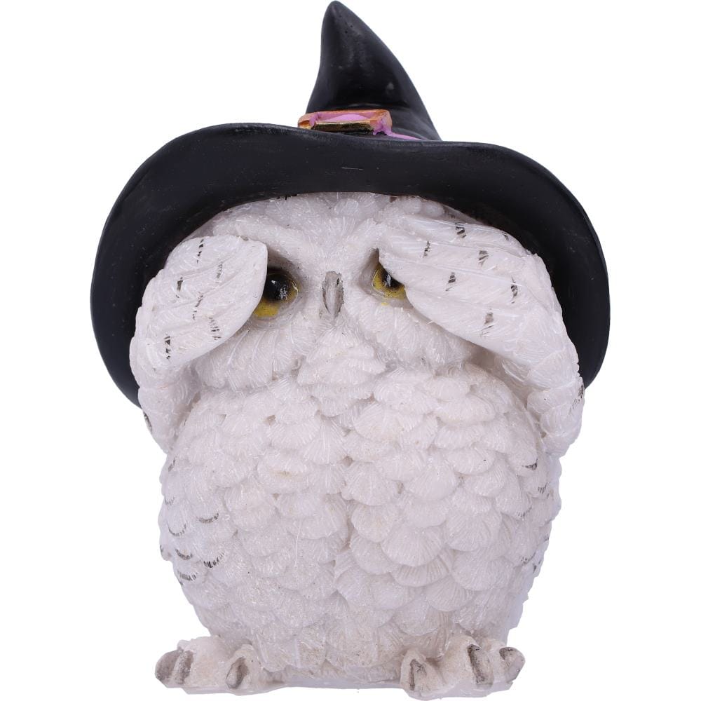NEMESIS NOW THREE WISE FEATHERED FAMILIARS 9CM set figuric 801269144722
