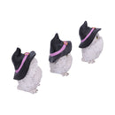 NEMESIS NOW THREE WISE FEATHERED FAMILIARS 9CM set figuric 801269144722