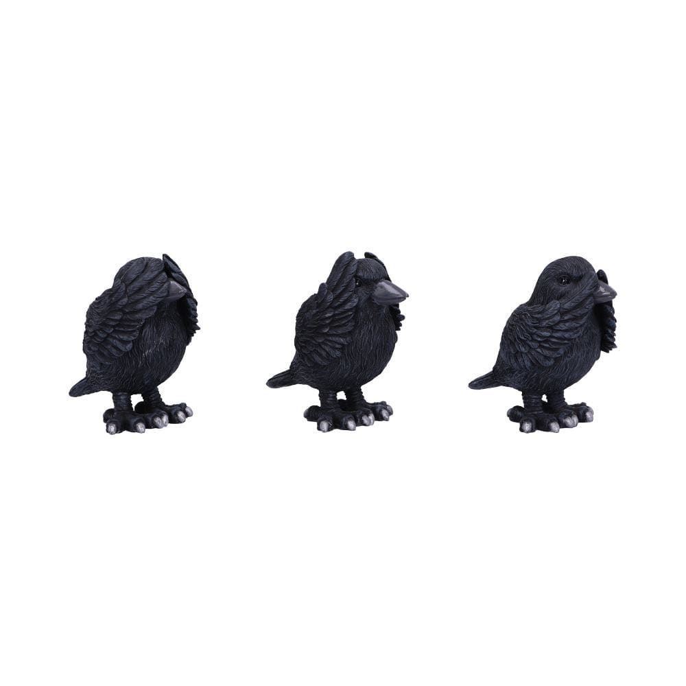 NEMESIS NOW THREE WISE RAVENS 8,7CM set figur 801269147501