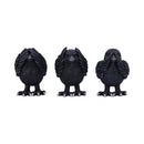 NEMESIS NOW THREE WISE RAVENS 8,7CM set figur 801269147501