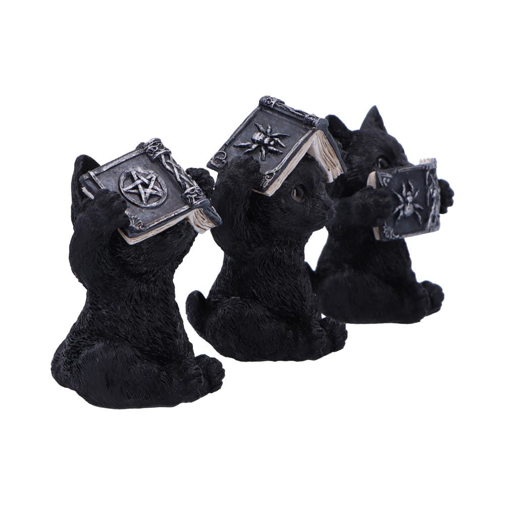 NEMESIS NOW THREE WISE SPELL CATS 8,5CM figure 801269154110