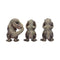 NEMESIS NOW THREE WISE TYRANNOSAURUS REX 801269156480