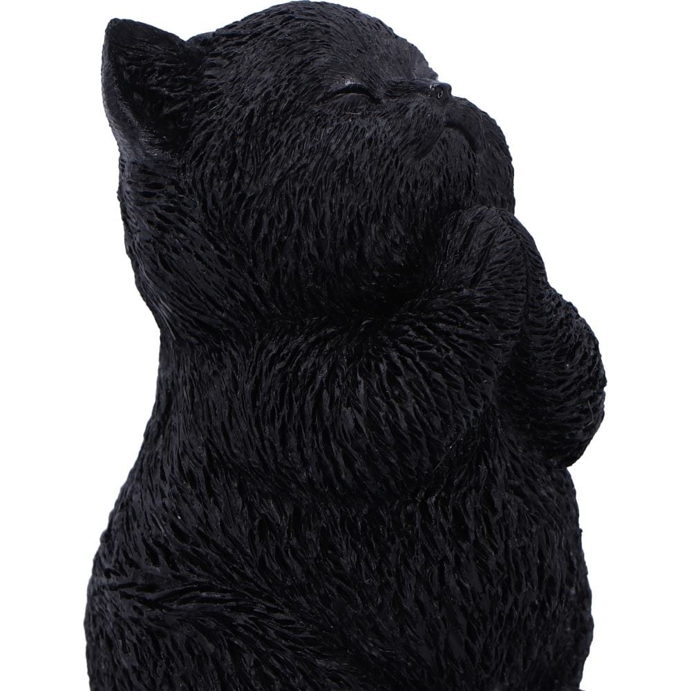 NEMESIS NOW WHISKER WISH figura 8.5CM 801269159276