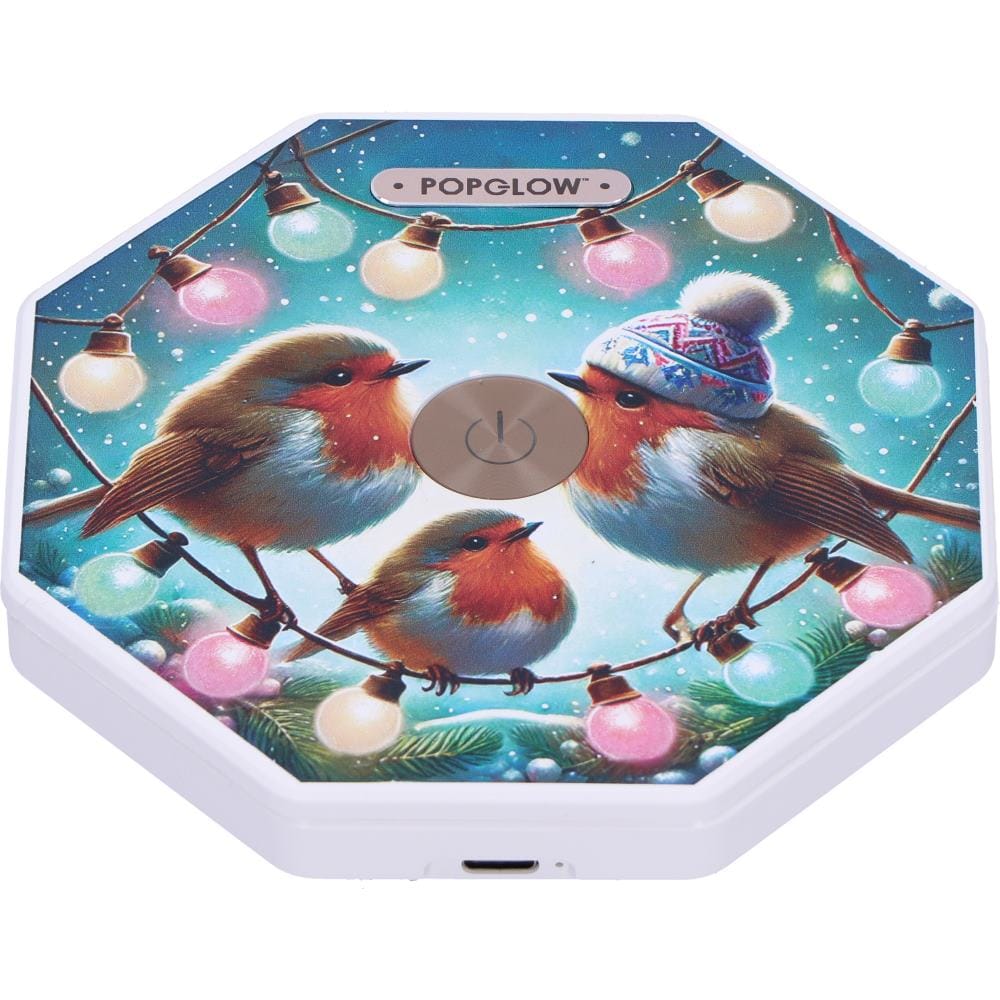 NEMESIS NOW WINTER ROBINS zložljiva svetilka 21CM 801269160388