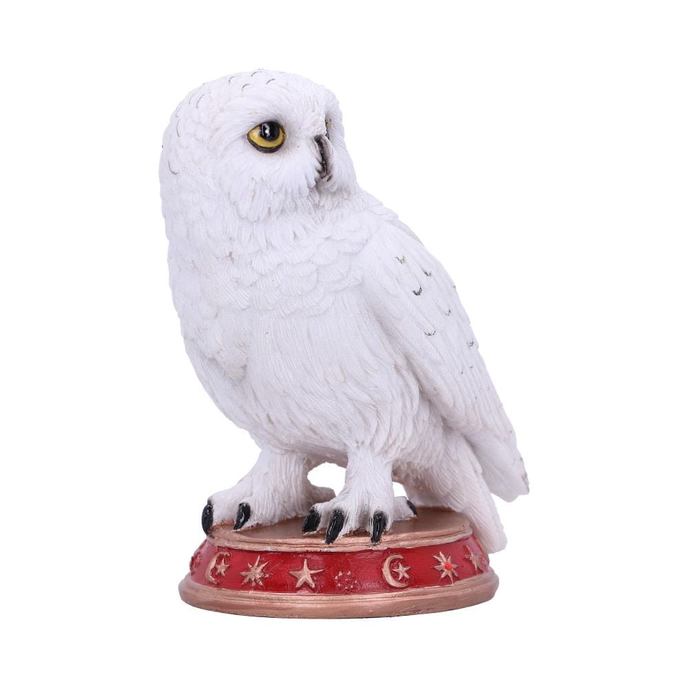 NEMESIS NOW WIZARD'S FAMILIAR figura 10CM 801269146290