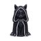 NEMESIS NOW ZEFUR figura 10CM 801269154851