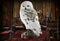 NOBLE COLLECTION - HARRY POTTER - HEDWIG RESIN SCULPTURE 849421003302