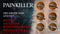 Painkiller (Playstation 5) 884095225957
