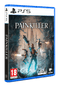 Painkiller (Playstation 5) 884095225957