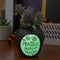 PALADONE DEADLY NIGHTSHADE PEN AND PLANT lonček 5056577735406