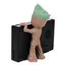 PALADONE GROOT BUDILKA 5056577710472