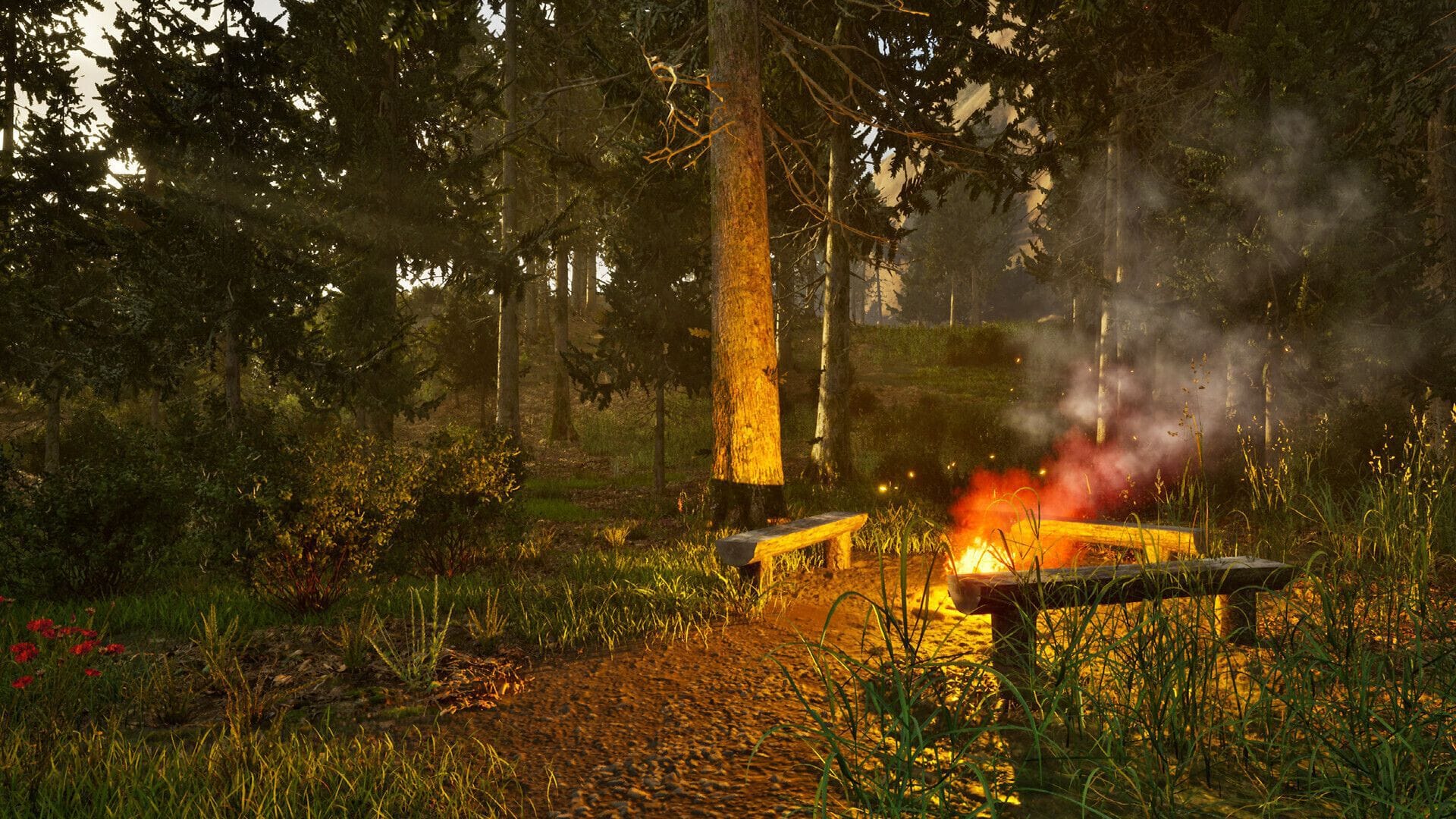 Park Ranger Simulator (Playstation 5) 4015918166201