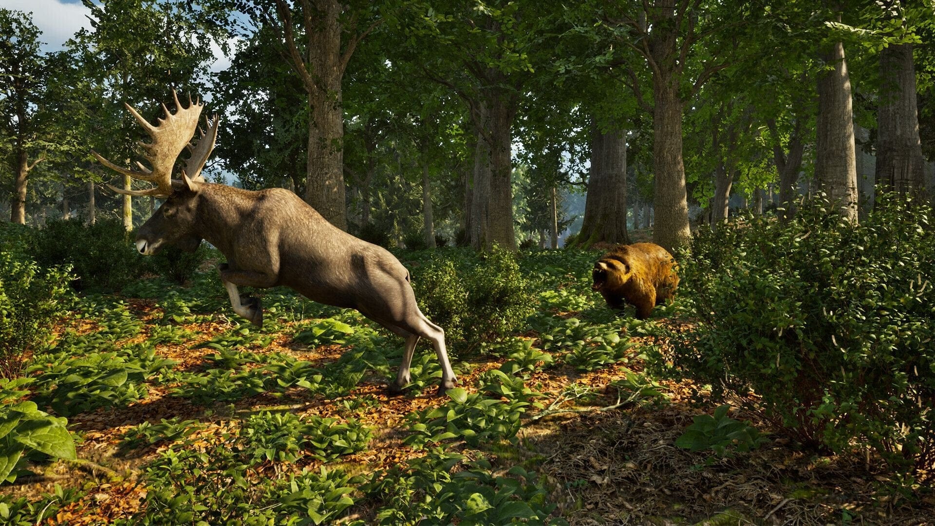 Park Ranger Simulator (Playstation 5) 4015918166201