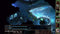 Planescape Torment & Icewind Dale Enhanced Edition (XONE) 0811949031211