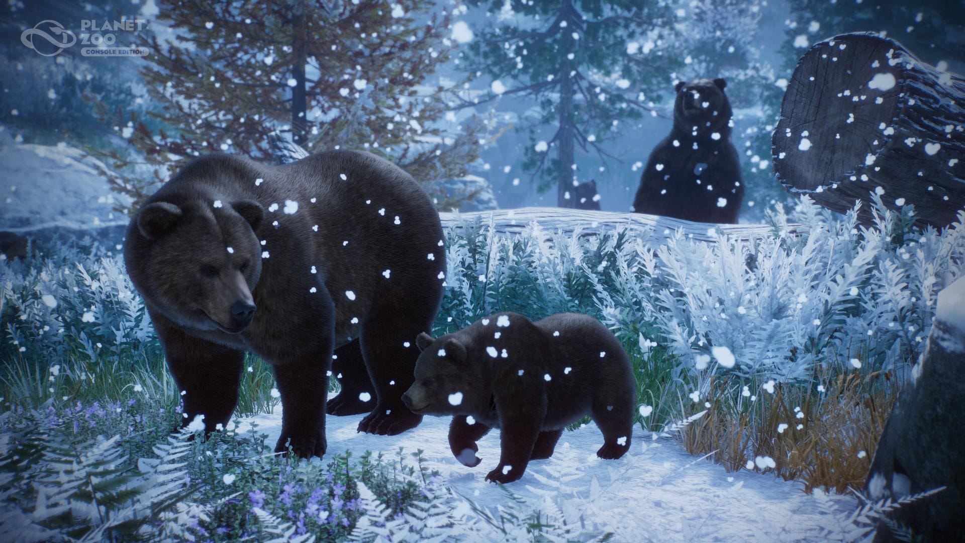 Planet Zoo - Console Edition (Playstation 5) 5056208823823