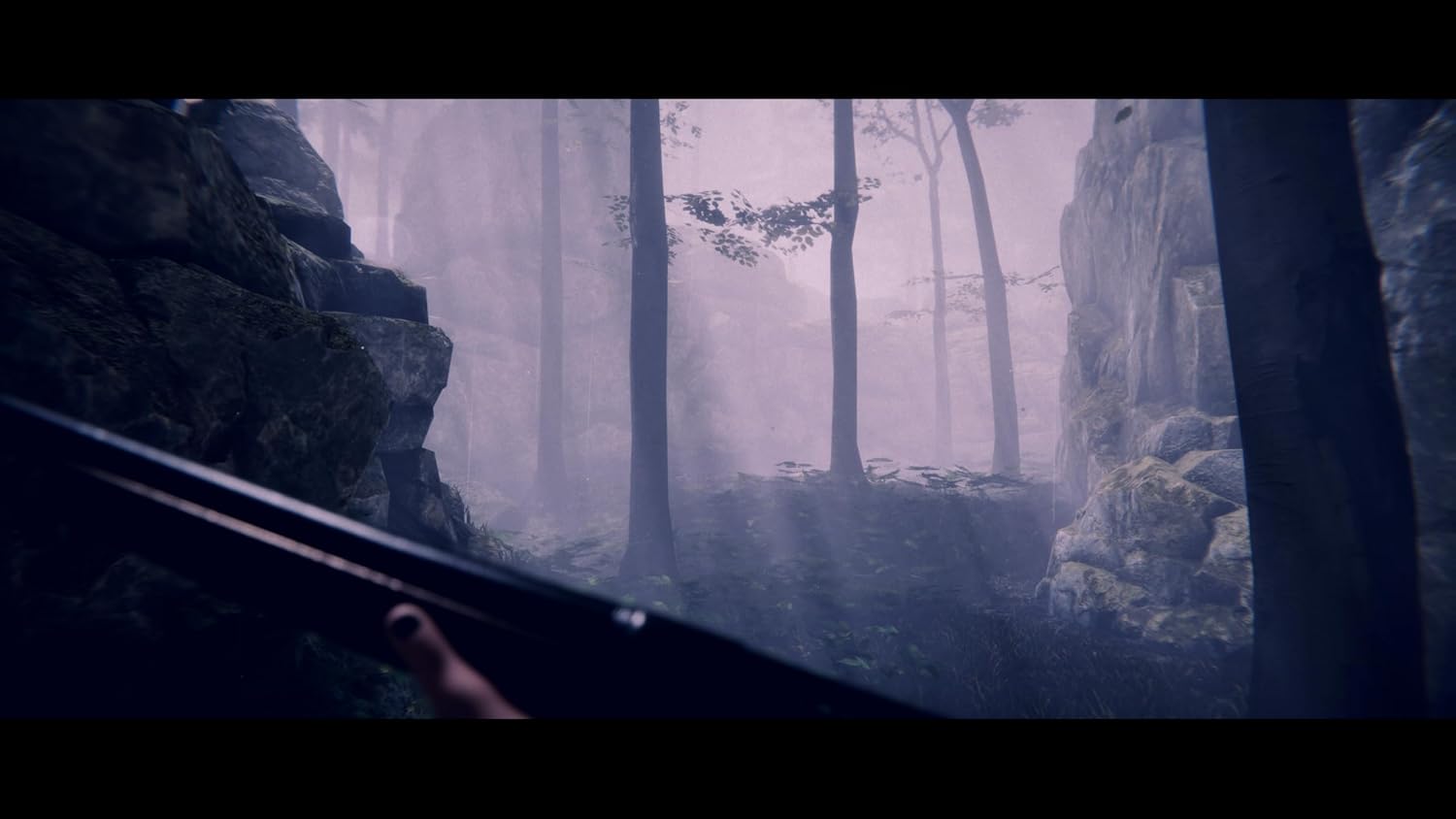 Project Songbird (Playstation 5) 8424365733205