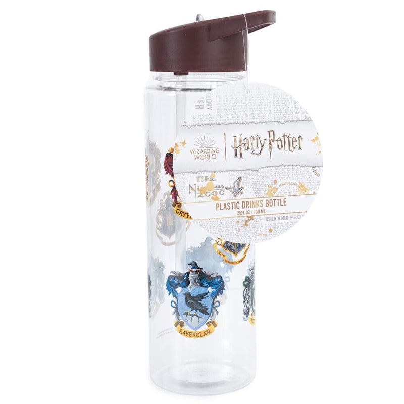 PYRAMID HARRY POTTER bidon 5050574279505