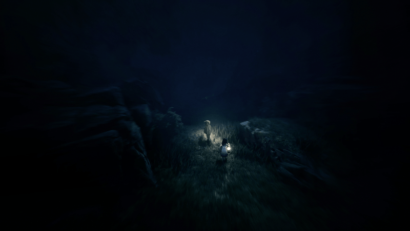 REANIMAL (Nintendo Switch 2) 9120131603091
