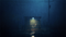 REANIMAL (Nintendo Switch 2) 9120131603091
