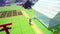 Rune Factory: Guardians Of Azuma (SWITCH2) 5060540773098