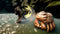 Skull Island: Rise Of Kong (Playstation 4) 5060968300883