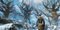 Smalland: Survive The Wilds (Playstation 5) 5060264379224