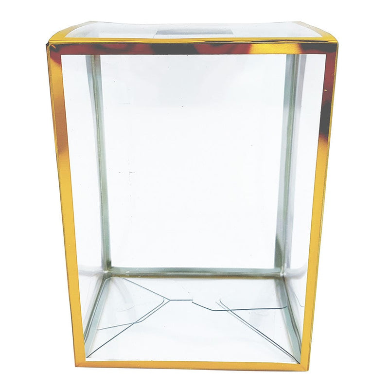 SPAWN PROTECTOR BOX 10 V2 8605042610440