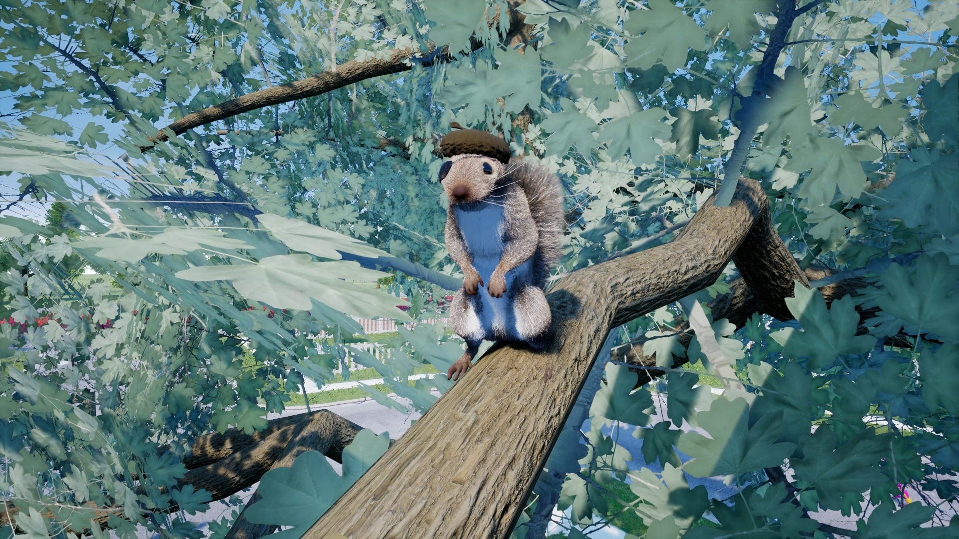 Squirrel With A Gun (Nintendo Switch 2) 3700664533353