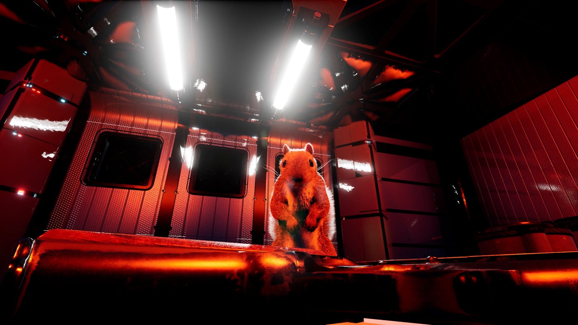 Squirrel With A Gun (Nintendo Switch 2) 3700664533353