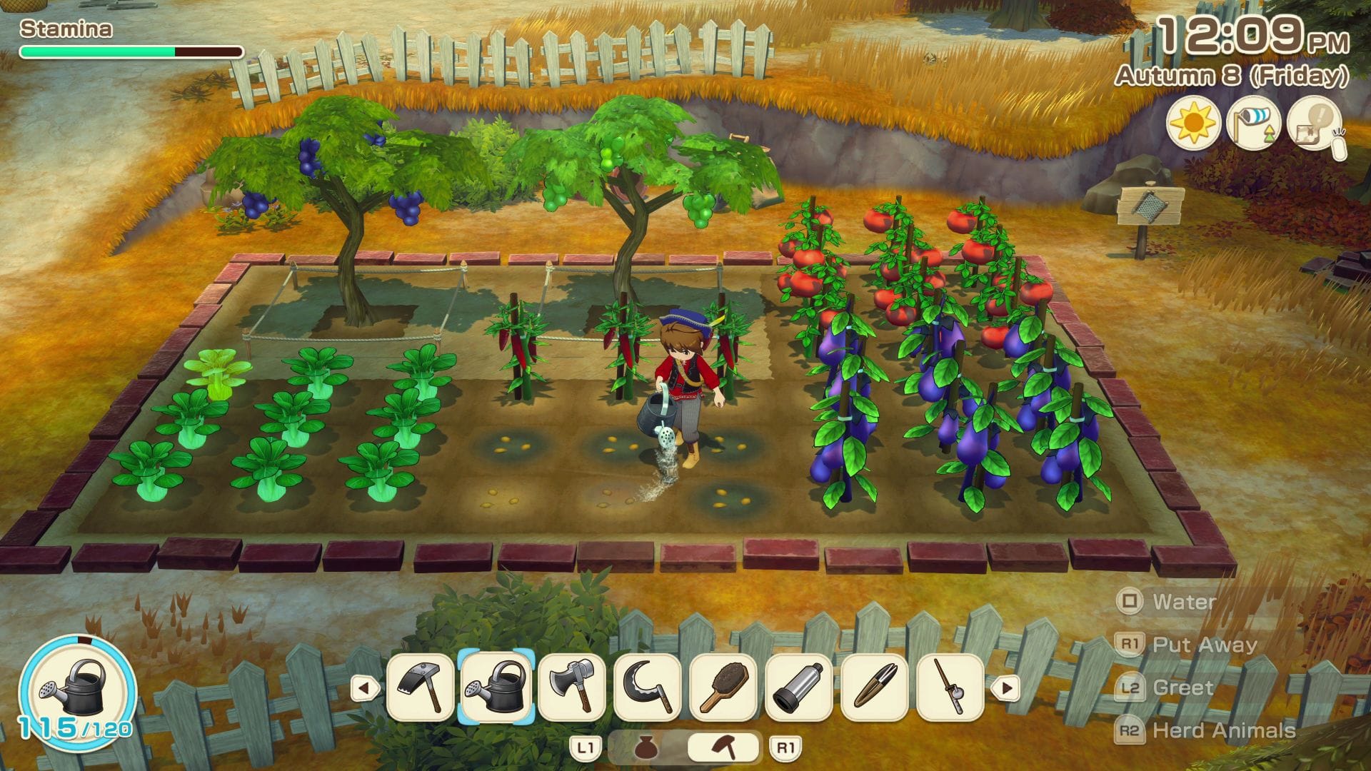 Story Of Seasons: Grand Bazaar (Playstation 5) 5060540772916