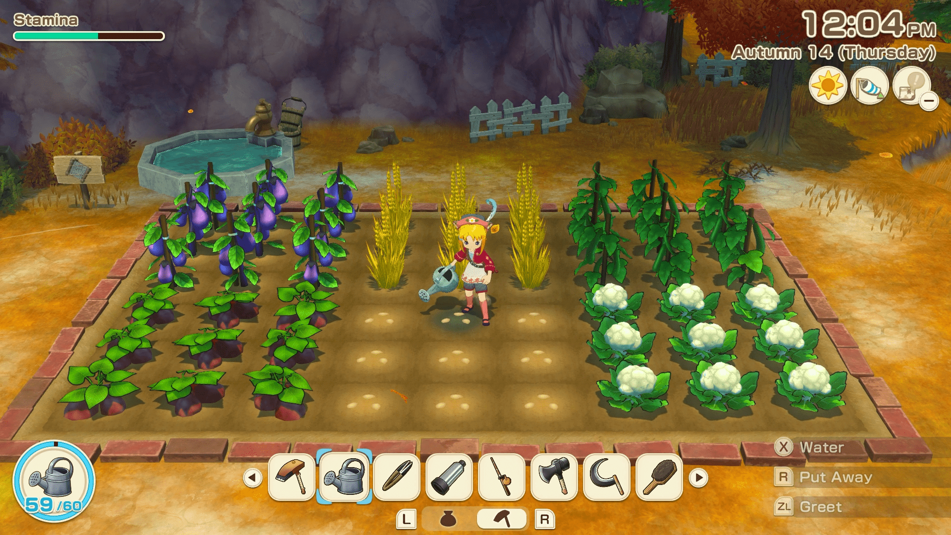 STORY OF SEASONS: Grand Bazaar (SWITCH) 5060540772824