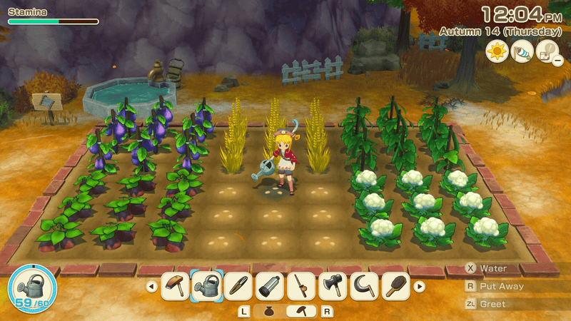 STORY OF SEASONS: Grand Bazaar (SWITCH) 5060540772824