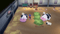STORY OF SEASONS: Grand Bazaar (SWITCH) 5060540772824