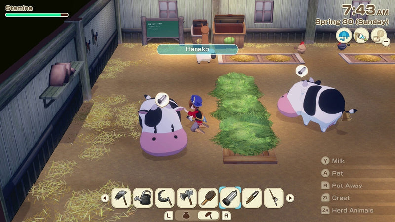 Story Of Seasons: Grand Bazaar           (SWITCH2) 5060540773166