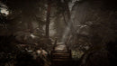 Syberia - Remastered Limited Edition (Playstation 5) 3701529517372