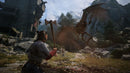 The Blood Of The Dawnwalker - Collectors Edition (PC) 3391892044331