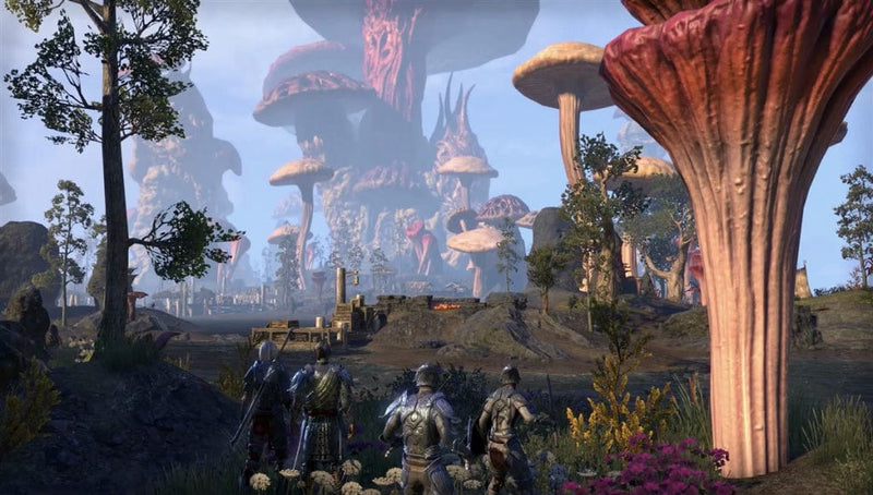 The Elder Scrolls Online: Morrowind (PC) 5055856414544